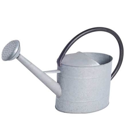 Tierra Garden Aged Zinc Watering Can