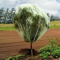 Haxnicks Fruit Tree Cover 9.8' X 9.8'