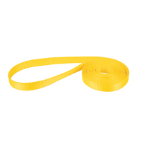 ERICKSON 1 in. x 8 ft. Endless Lift Sling